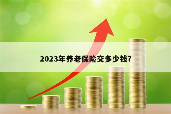 2023年养老保险交多少钱?