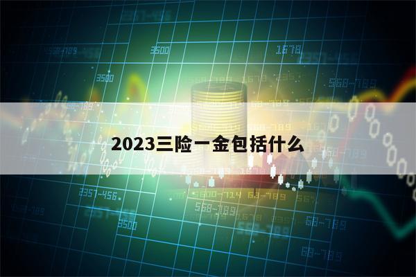 2023三险一金包括什么