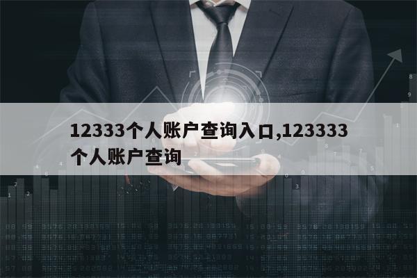 12333个人账户查询入口,123333个人账户查询