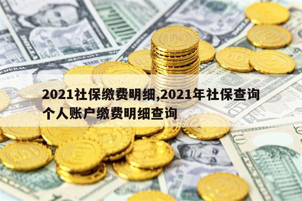 2021社保缴费明细,2021年社保查询个人账户缴费明细查询